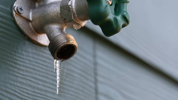 Best Shower Repair Services  in Miller Place, NY